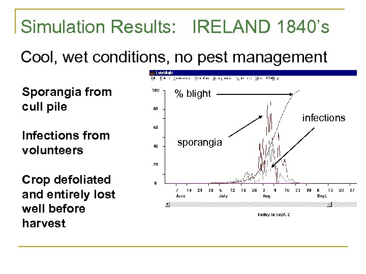 Simulation Results: IRELAND 1840’s Cool, wet conditions, no pest management Sporangia from cull pile