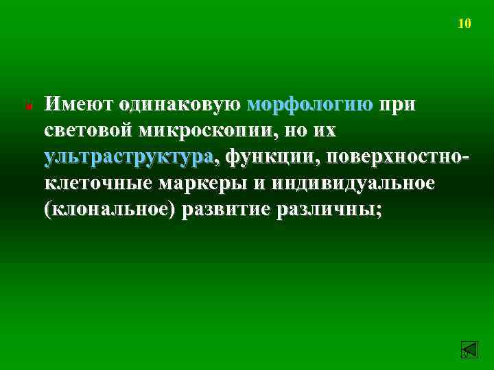 10 n Имеют одинаковую морфологию при световой микроскопии, но их ультраструктура, функции, поверхностноклеточные маркеры