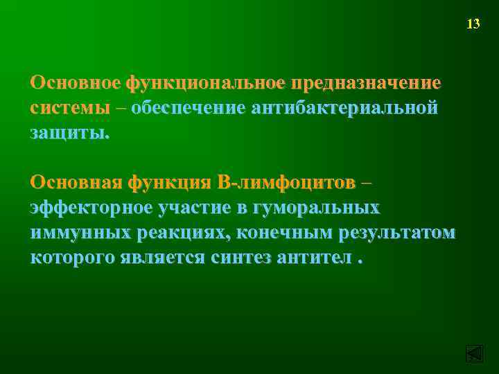 13 Основное функциональное предназначение системы – обеспечение антибактериальной защиты. Основная функция В-лимфоцитов – эффекторное