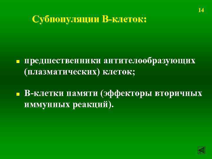 Субпопуляции В-клеток: n n 14 предшественники антителообразующих (плазматических) клеток; В-клетки памяти (эффекторы вторичных иммунных