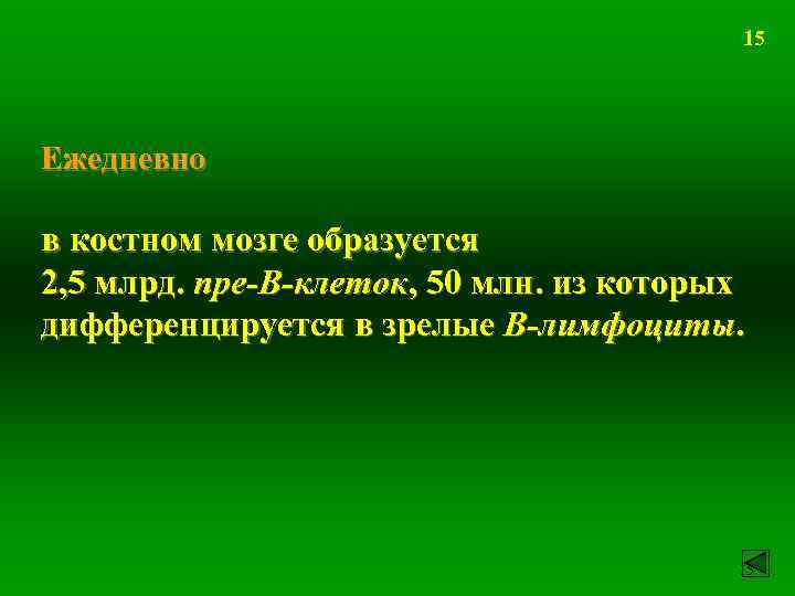 15 Ежедневно в костном мозге образуется 2, 5 млрд. пре-В-клеток, 50 млн. из которых