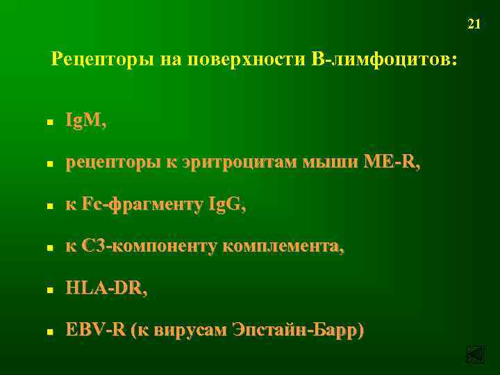 21 Рецепторы на поверхности В-лимфоцитов: n Ig. M, n рецепторы к эритроцитам мыши МЕ-R,