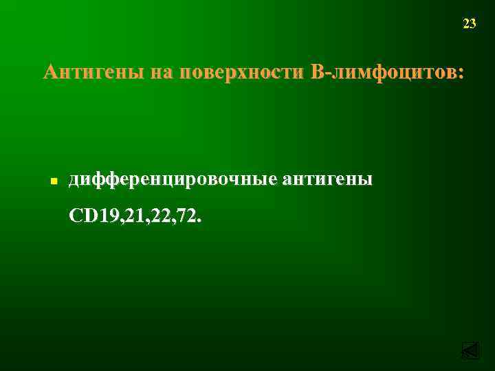 23 Антигены на поверхности В-лимфоцитов: n дифференцировочные антигены CD 19, 21, 22, 72. 23