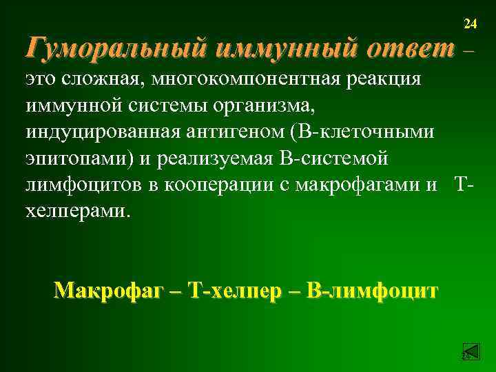 24 Гуморальный иммунный ответ – это сложная, многокомпонентная реакция иммунной системы организма, индуцированная антигеном