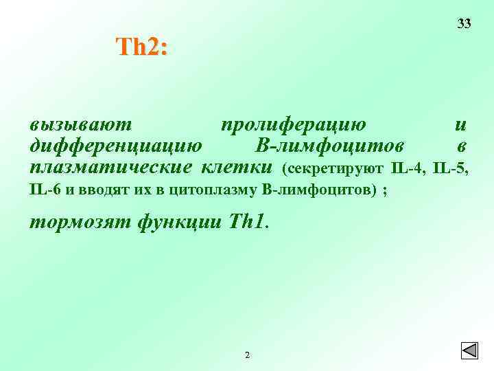 33 Тh 2: вызывают пролиферацию дифференциацию В-лимфоцитов плазматические клетки (секретируют IL-4, IL-6 и вводят