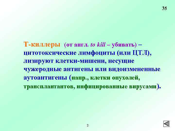 35 Т-киллеры (от англ. to kill – убивать) – цитотоксические лимфоциты (или ЦТЛ), лизируют