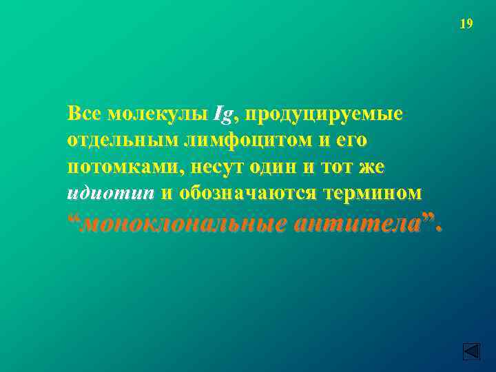 19 Все молекулы Ig, продуцируемые отдельным лимфоцитом и его потомками, несут один и тот