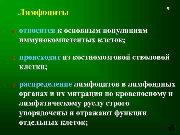 Лимфоциты n n n 9 относятся к основным популяциям иммунокомпетентых клеток; происходят из костномозговой