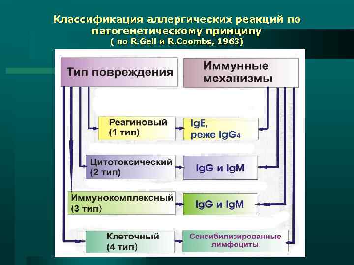 Классификация аллергических реакций