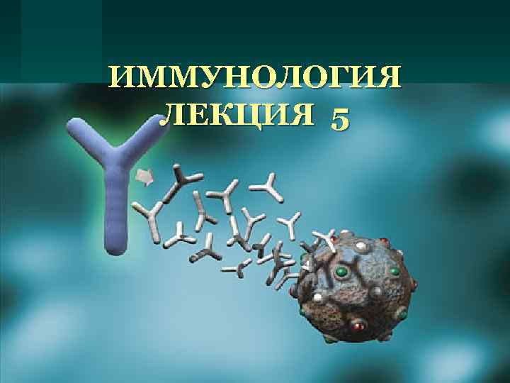 ИММУНОЛОГИЯ ЛЕКЦИЯ 5 