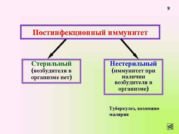 9 Постинфекционный иммунитет Стерильный (возбудителя в организме нет) Нестерильный (иммунитет при наличии возбудителя в