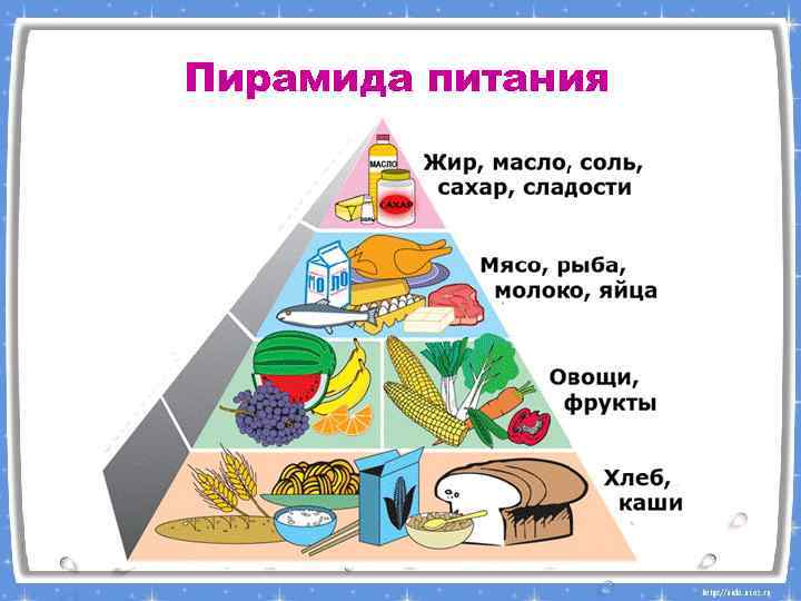 Пирамида питания 
