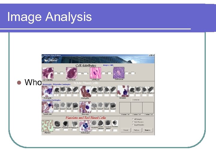 Image Analysis l Whole-Slide (Image) Search 