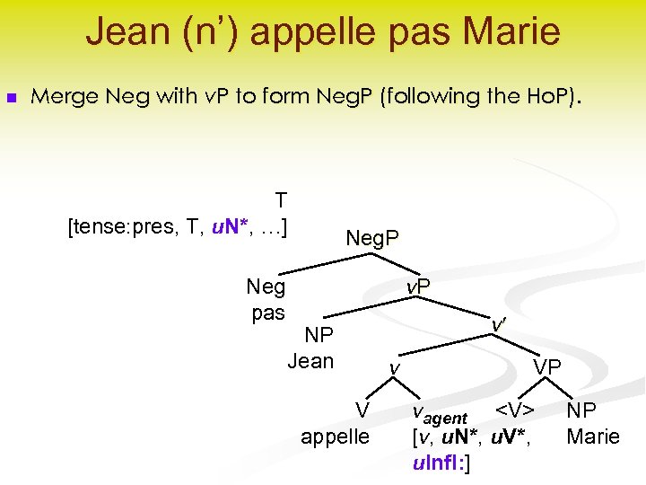 Jean (n’) appelle pas Marie n Merge Neg with v. P to form Neg.