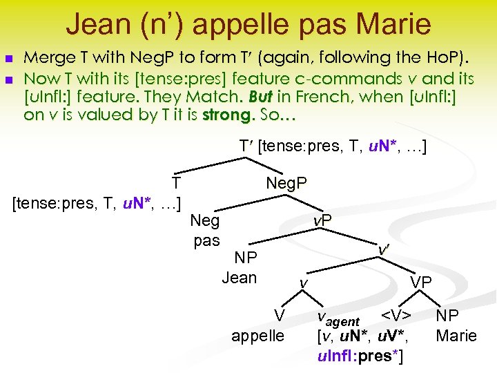 Jean (n’) appelle pas Marie n n Merge T with Neg. P to form