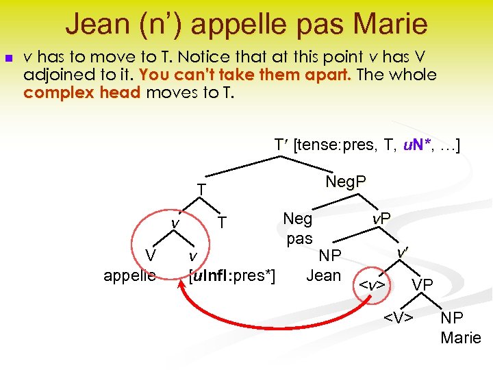 Jean (n’) appelle pas Marie n v has to move to T. Notice that