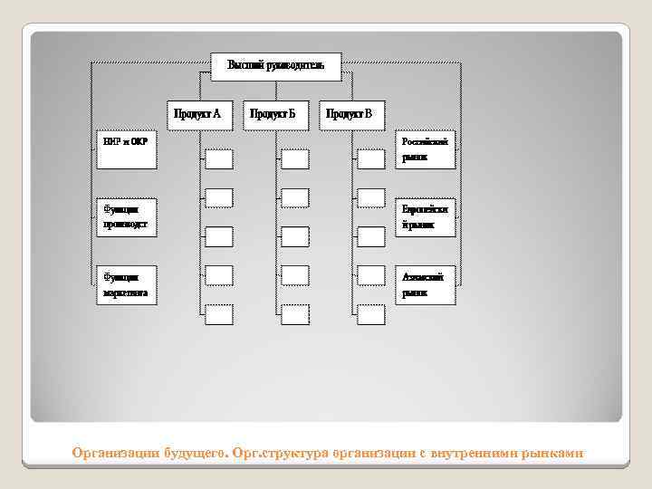 Организации будущего. Орг. структура организации с внутренними рынками 