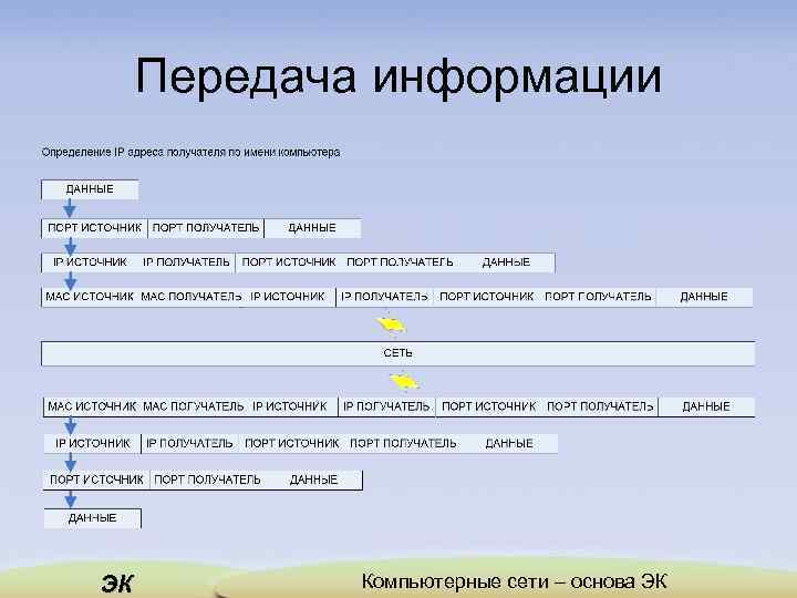 Передача информации ЭК Компьютерные сети – основа ЭК 