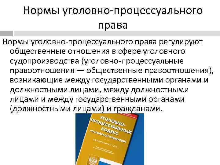 Уголовно процессуальные правоотношения презентация