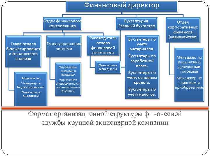 Формат организационной структуры финансовой службы крупной акционерной компании 