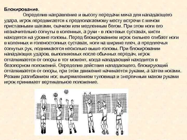 Блокирование. Определив направление и высоту передачи мяча для нападающего удара, игрок передвигается к предполагаемому