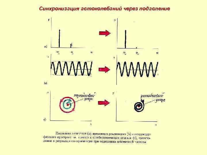 Синхронизация автоколебаний через подавление 