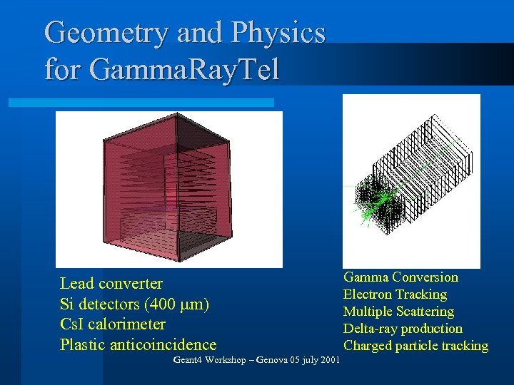 Geometry and Physics for Gamma. Ray. Tel Lead converter Si detectors (400 m) Cs.