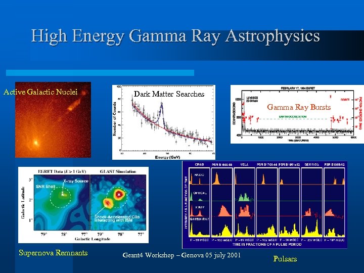High Energy Gamma Ray Astrophysics Active Galactic Nuclei Dark Matter Searches Gamma Ray Bursts
