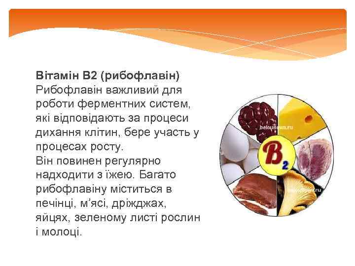 Вітамін В 2 (рибофлавін) Рибофлавін важливий для роботи ферментних систем, які відповідають за процеси