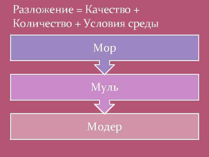 Разложение = Качество + Количество + Условия среды Мор Муль Модер 