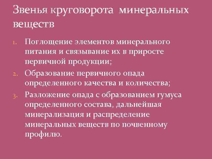 Звенья круговорота минеральных веществ Поглощение элементов минерального питания и связывание их в приросте первичной
