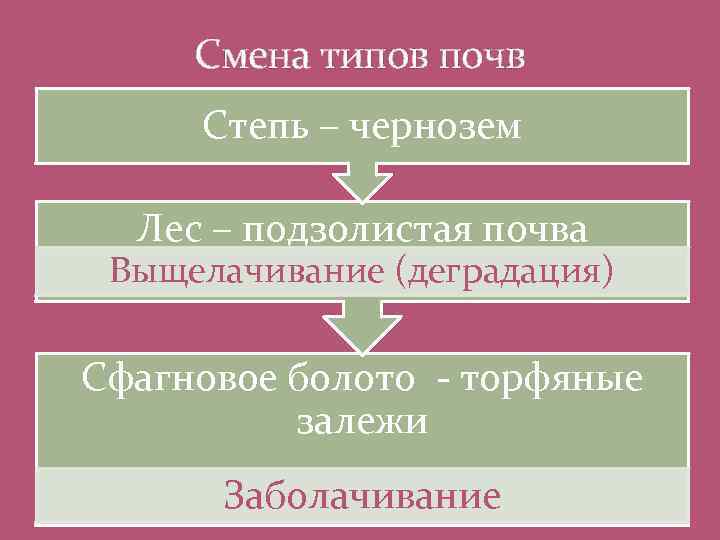 Смена типов почв Степь – чернозем Лес – подзолистая почва Выщелачивание (деградация) Сфагновое болото
