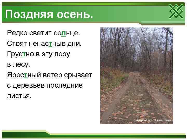 Поздняя осень. Редко светит солнце. Стоят ненастные дни. Грустно в эту пору в лесу.