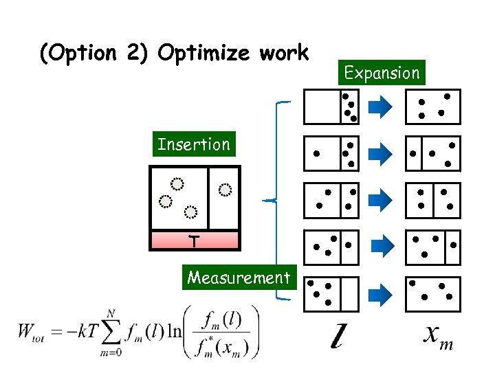 (Option 2) Optimize work Insertion T Measurement Expansion 