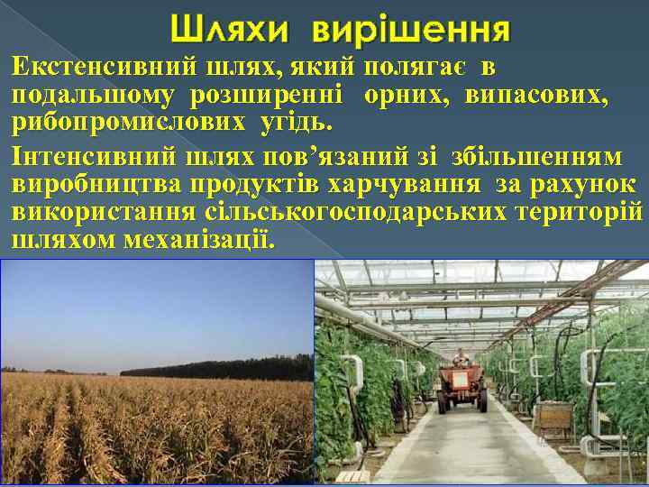 Шляхи вирішення Екстенсивний шлях, який полягає в подальшому розширенні орних, випасових, рибопромислових угідь. Інтенсивний