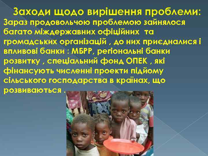 Заходи щодо вирішення проблеми: Зараз продовольчою проблемою зайнялося багато міждержавних офіційних та громадських організацій