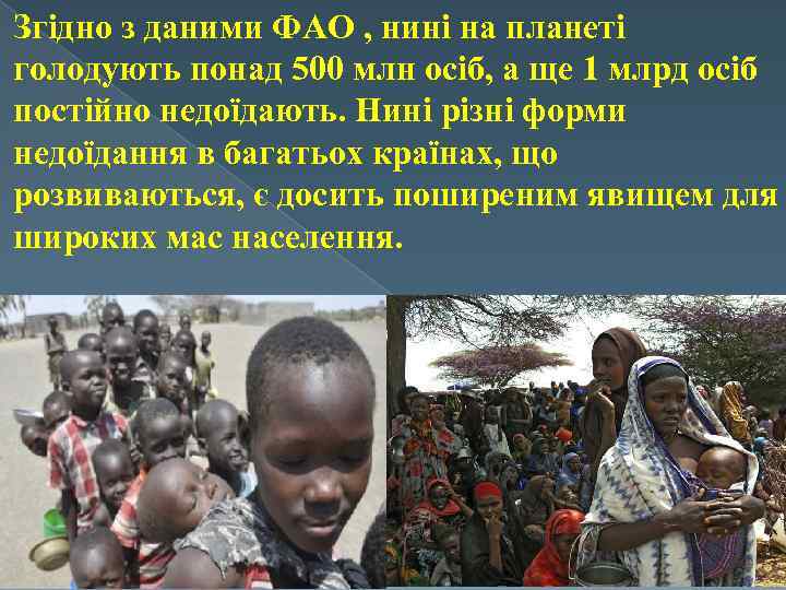 Згідно з даними ФАО , нині на планеті голодують понад 500 млн осіб, а