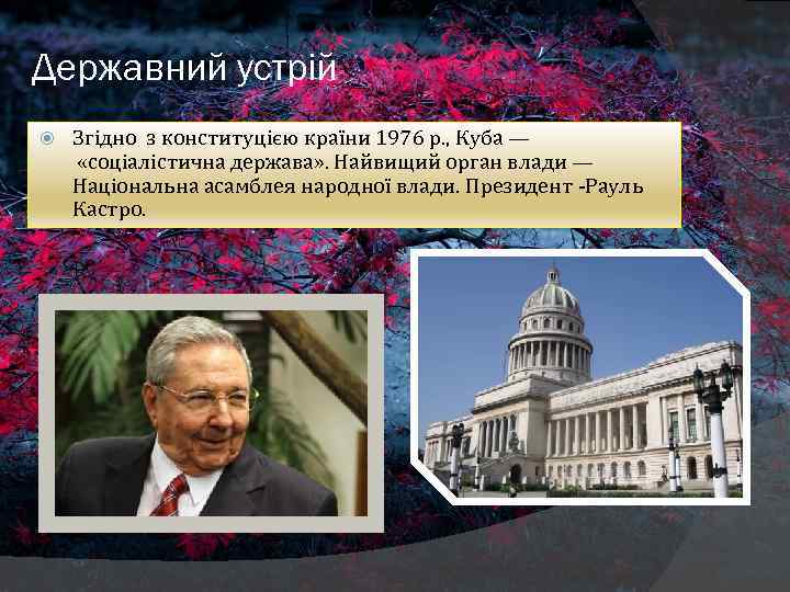 Державний устрій Згідно з конституцією країни 1976 р. , Куба — «соціалістична держава» .