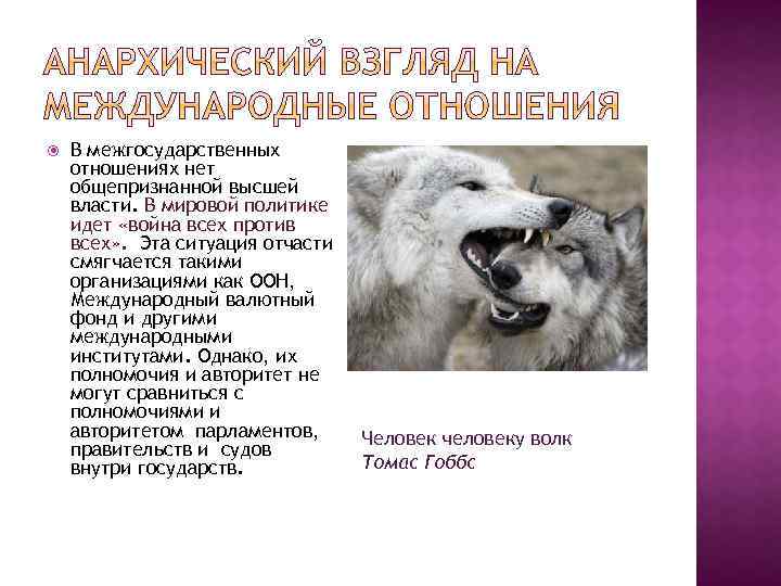  В межгосударственных отношениях нет общепризнанной высшей власти. В мировой политике идет «война всех