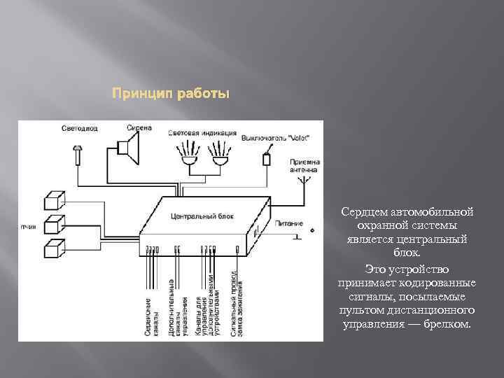 Принцип работы Сердцем автомобильной охранной системы является центральный блок. Это устройство принимает кодированные сигналы,