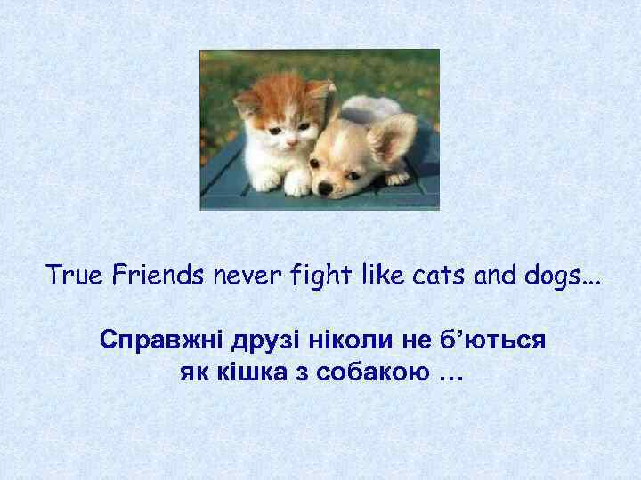 True Friends never fight like cats and dogs. . . Справжні друзі ніколи не