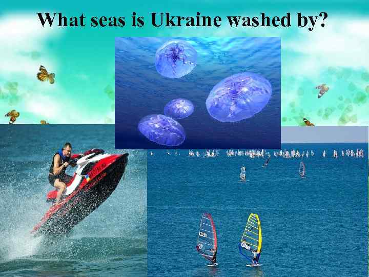 What seas is Ukraine washed by? 