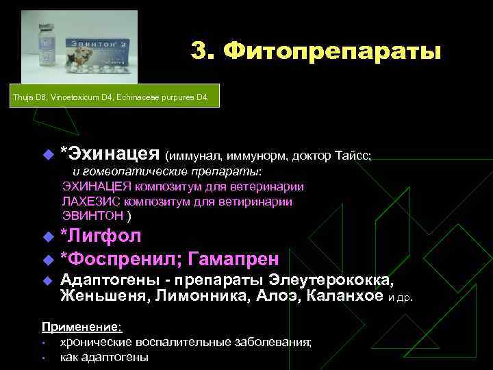 3. Фитопрепараты Thuja D 6, Vincetoxicum D 4, Echinaceae purpurea D 4. u *Эхинацея