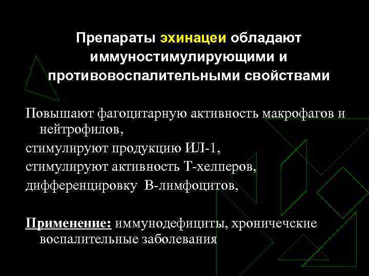 Препараты эхинацеи обладают иммуностимулирующими и противовоспалительными свойствами Повышают фагоцитарную активность макрофагов и нейтрофилов, стимулируют