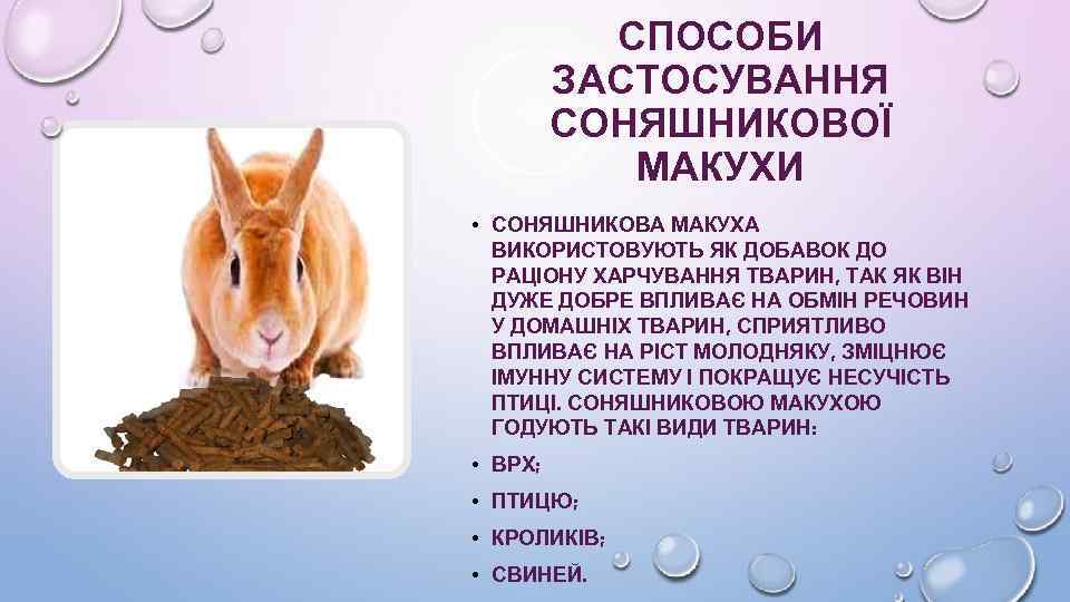 СПОСОБИ ЗАСТОСУВАННЯ СОНЯШНИКОВОЇ МАКУХИ • СОНЯШНИКОВА МАКУХА ВИКОРИСТОВУЮТЬ ЯК ДОБАВОК ДО РАЦІОНУ ХАРЧУВАННЯ ТВАРИН,