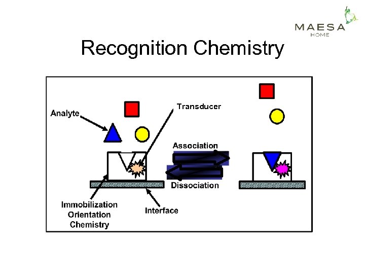 Recognition Chemistry Transducer 