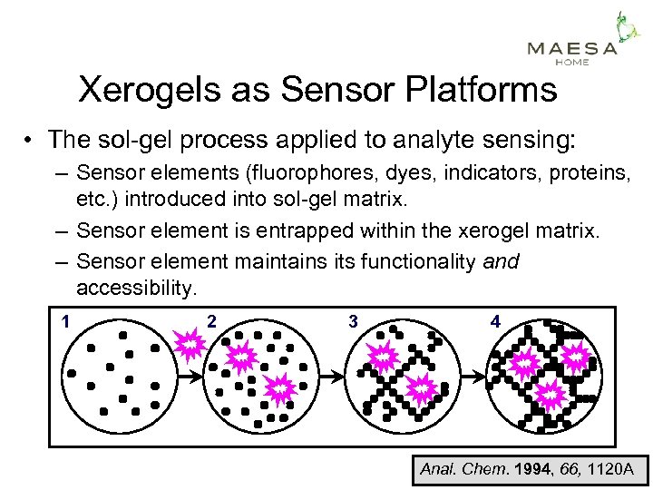 Xerogels as Sensor Platforms • The sol-gel process applied to analyte sensing: – Sensor