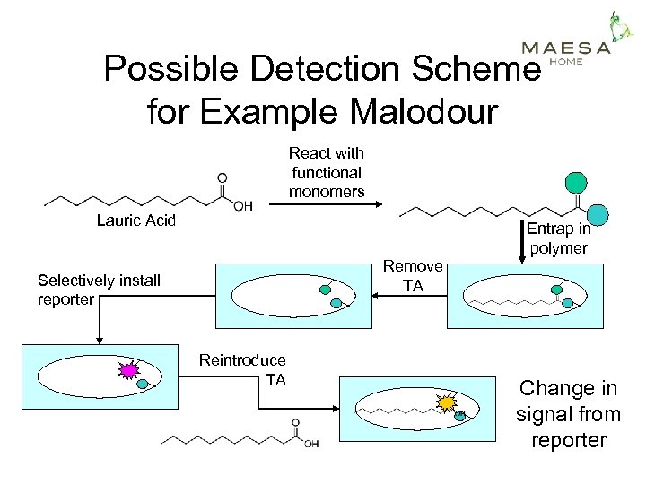 Possible Detection Scheme for Example Malodour React with functional monomers Lauric Acid Entrap in