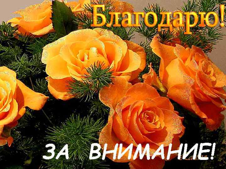 ЗА ВНИМАНИЕ! 