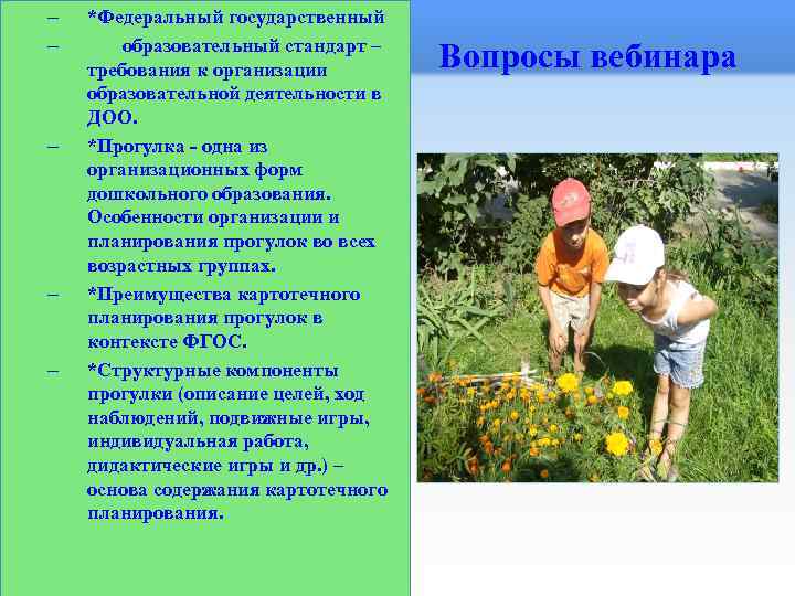 – – – *Федеральный государственный образовательный стандарт – требования к организации образовательной деятельности в